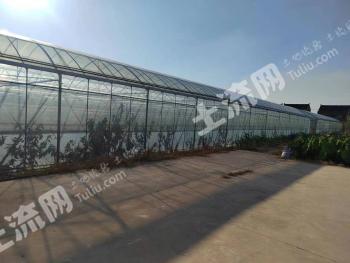 泰州靖江市 15亩 空闲地 使用权出租