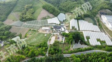 杭州余杭区200亩果园经营权出租