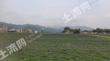 贺州平桂区 900亩 水田 经营权出租