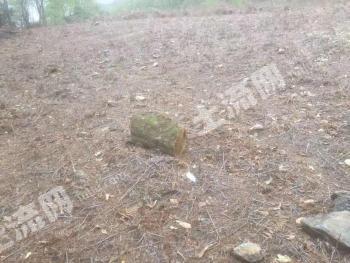 大理洱源县 97.05亩 灌木林地 经营权出租