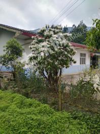 恩施利川市 34.98亩 农场 使用权转让