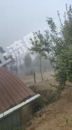 玉林北流市 70亩 其它林地 经营权出租