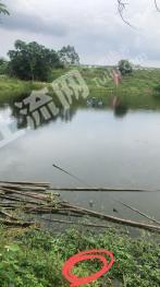 茂名茂南区 10亩 坑塘水面 经营权出租