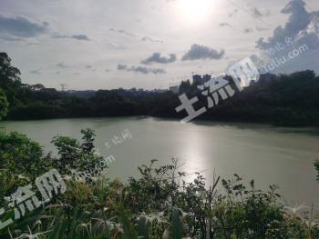南宁江南区 8亩 河流水面 使用权出租