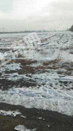 朔州怀仁市 306.26亩 水浇地 经营权合作