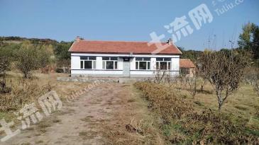 长春朝阳区 15亩 农村宅基地 使用权出租