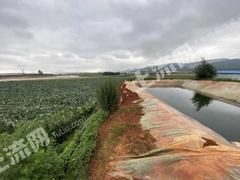 曲靖马龙区 50亩 水浇地 经营权转让
