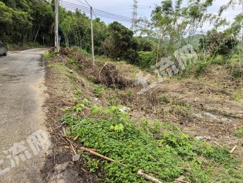 阳江阳东区 1155.38平方米 空闲地 使用权转让
