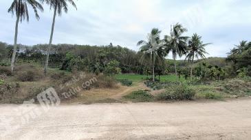 海南陵水黎族自治縣800平方米農(nóng)村宅基地使用權(quán)出租