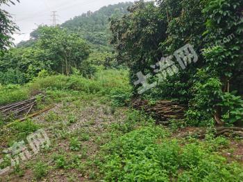 南宁江南区 30亩 空闲地 使用权出租