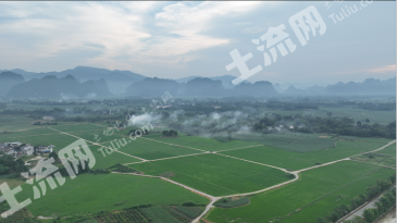 崇左龙州县 2659亩 水田 经营权出租