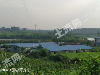 襄阳市枣阳市 500亩 旱地 经营权转让