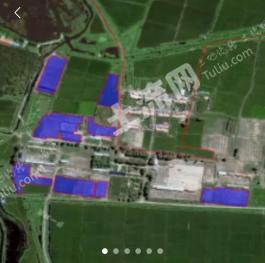 白城镇赉县 68亩 水田 经营权出租