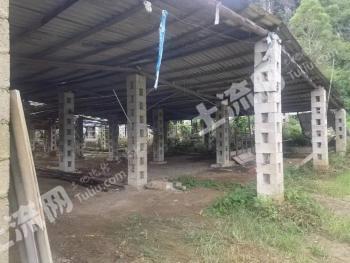 柳州柳江区 10.08亩 农场 使用权出租