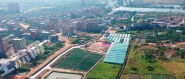 揭阳揭西县 60亩 水浇地 经营权出租