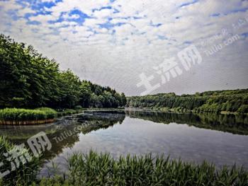 孝感孝南区 200亩 果园 经营权出租