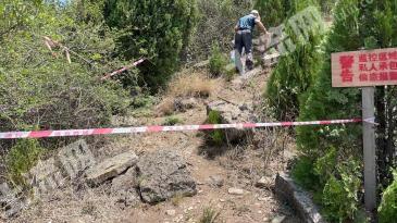 淄博博山区300亩林地-其它林地经营权转让