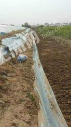 阜阳颍上县 5.15亩 仓储用地 使用权出租