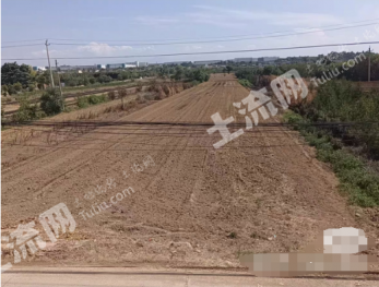 西安临潼区 3.5亩 旱地 经营权出租