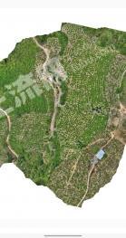 红河屏边苗族自治县 50亩 果园 经营权出租