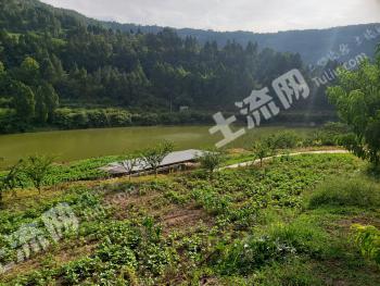 广元苍溪县 107.6亩 果园 经营权出租