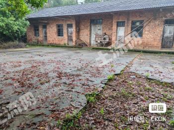 常德鼎城区 5亩 农家庭院 使用权出租