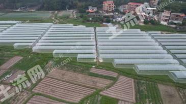 防城港东兴市 91.14亩 水浇地 经营权出租