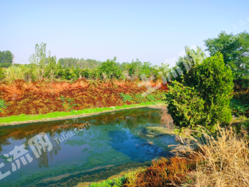 枣庄台儿庄区 15.9亩 设施农用地 经营权出租