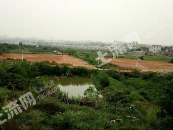 厦门集美区 11亩 其它园地 经营权合作