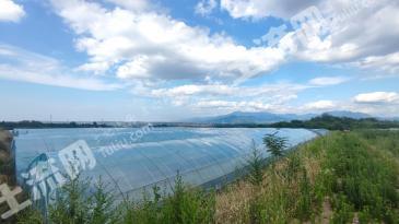 西安蓝田县 35.38亩 水浇地 经营权出租