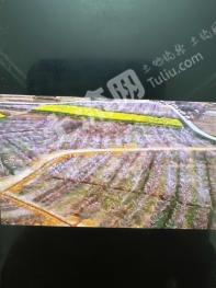 绵阳安州区 150亩 水浇地 经营权出租