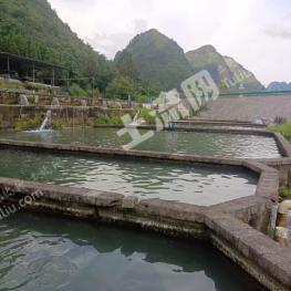 河池金城江区 18亩 坑塘水面 经营权转让