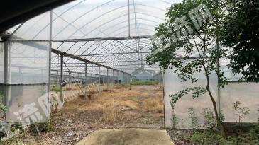 南京江宁区 22.97亩 设施农用地 经营权出租