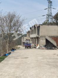 九江濂溪区 300亩 其它园地 经营权转让