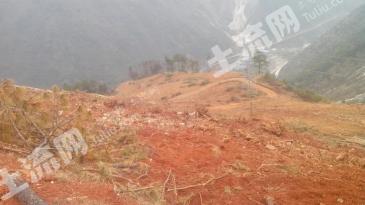 雅安石棉县 154.92亩 果园 经营权出租