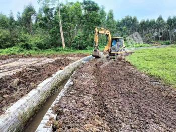 茂名茂南区 500亩 水田 经营权出租