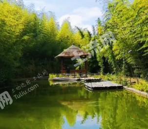 玉溪峨山彝族自治县 1068亩 其它林地 经营权转让