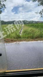 茂名高州市 500亩 水浇地 经营权出租