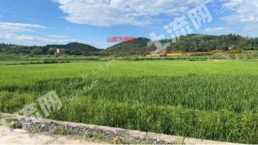 永州冷水滩区 800亩 水田 经营权出租