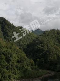 邵阳城步苗族自治县 1596.12亩 乔木林地 经营权转让