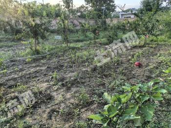 渭南蒲城县 3亩 农村宅基地 使用权出租