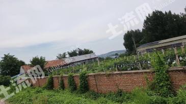 青岛城阳区 5亩 果园 经营权出租