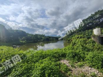 茂名高州市 39亩 农场 使用权出租