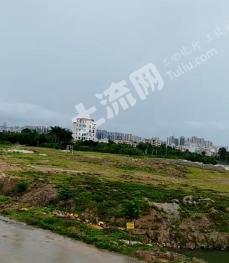 湛江霞山区 30亩 工业用地 使用权出租