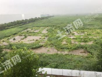 天津东丽区 209.54亩 仓储用地 使用权出租