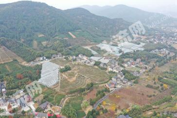 杭州余杭区106亩果园经营权出租
