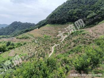 宜宾珙县 1200亩 果园 经营权转让