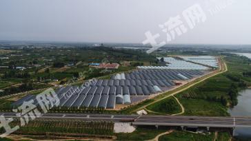 潍坊昌邑市 70亩 水浇地 经营权出租