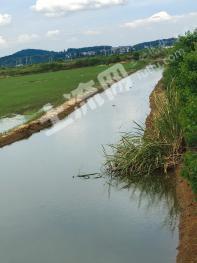 上饶余干县 870亩 水田 经营权出租