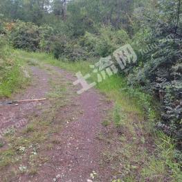 大理剑川县 100亩 农场 使用权出租